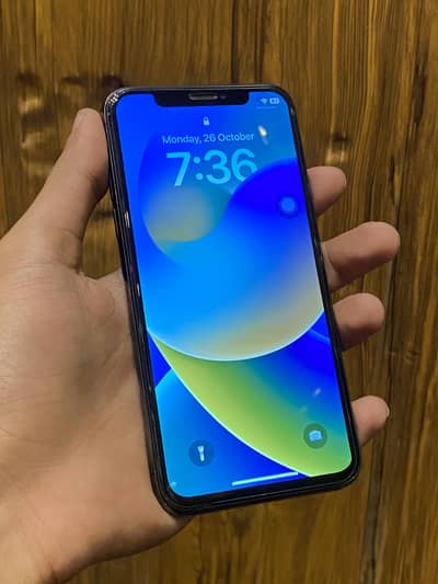 Apple iPhone X