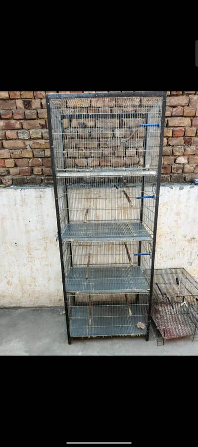 Galvanized wire Cage