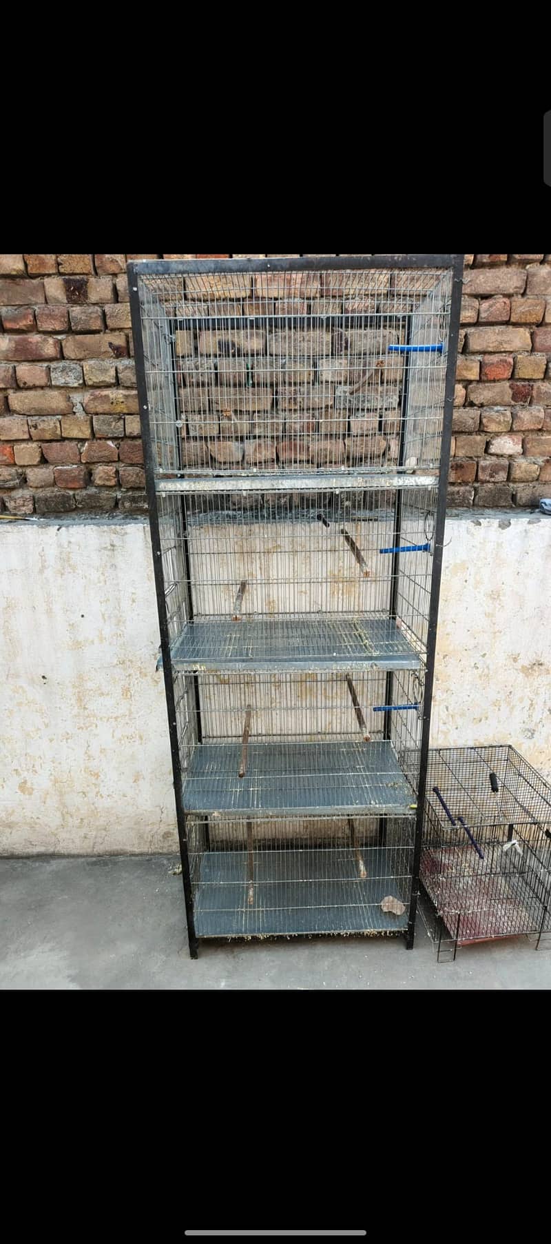 Galvanized wire Cage 0