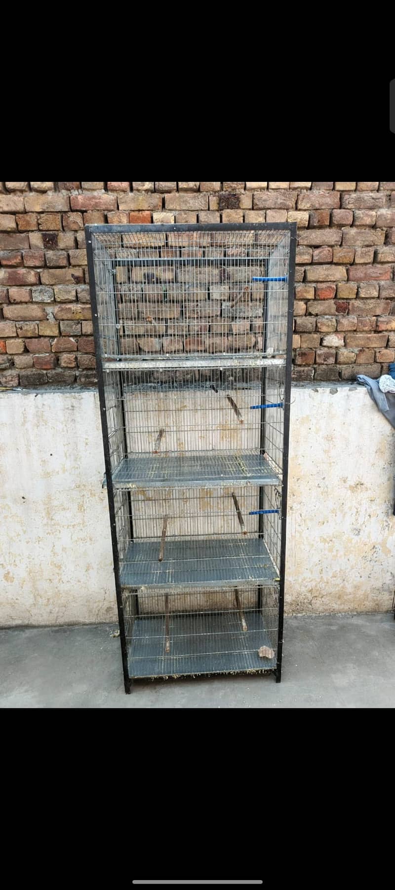 Galvanized wire Cage 1