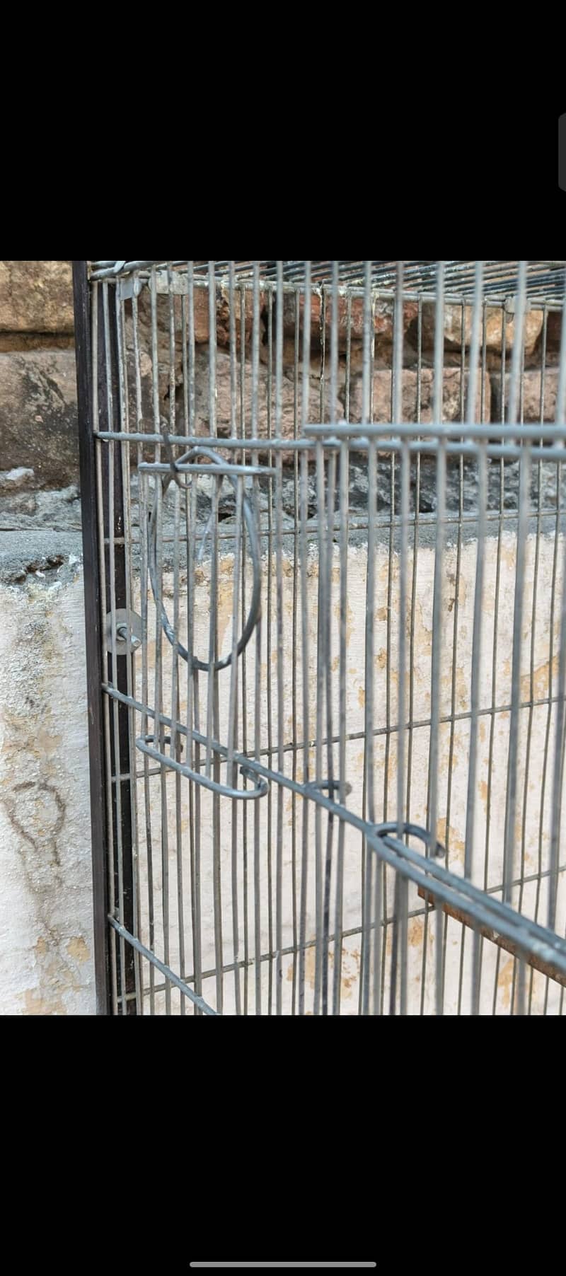 Galvanized wire Cage 2