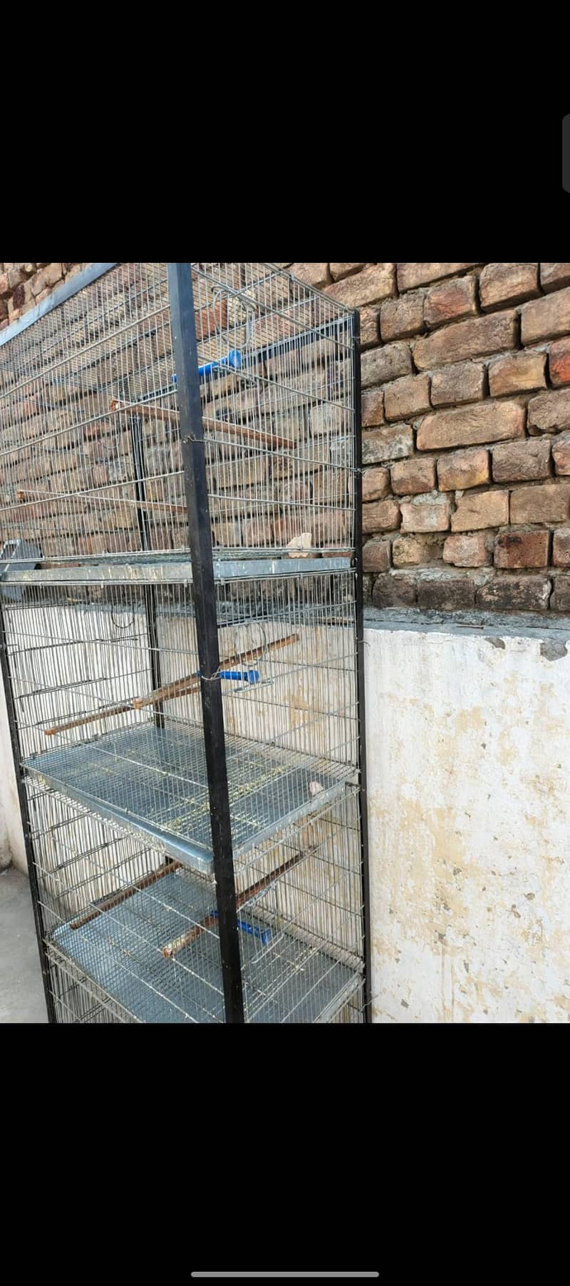 Galvanized wire Cage 3