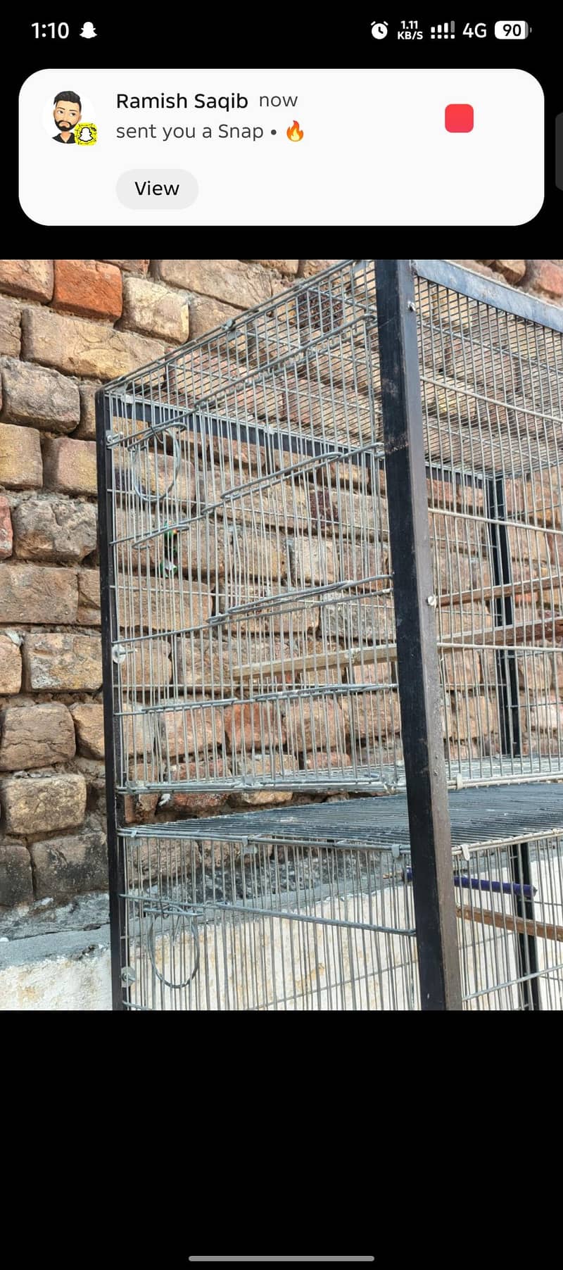 Galvanized wire Cage 4
