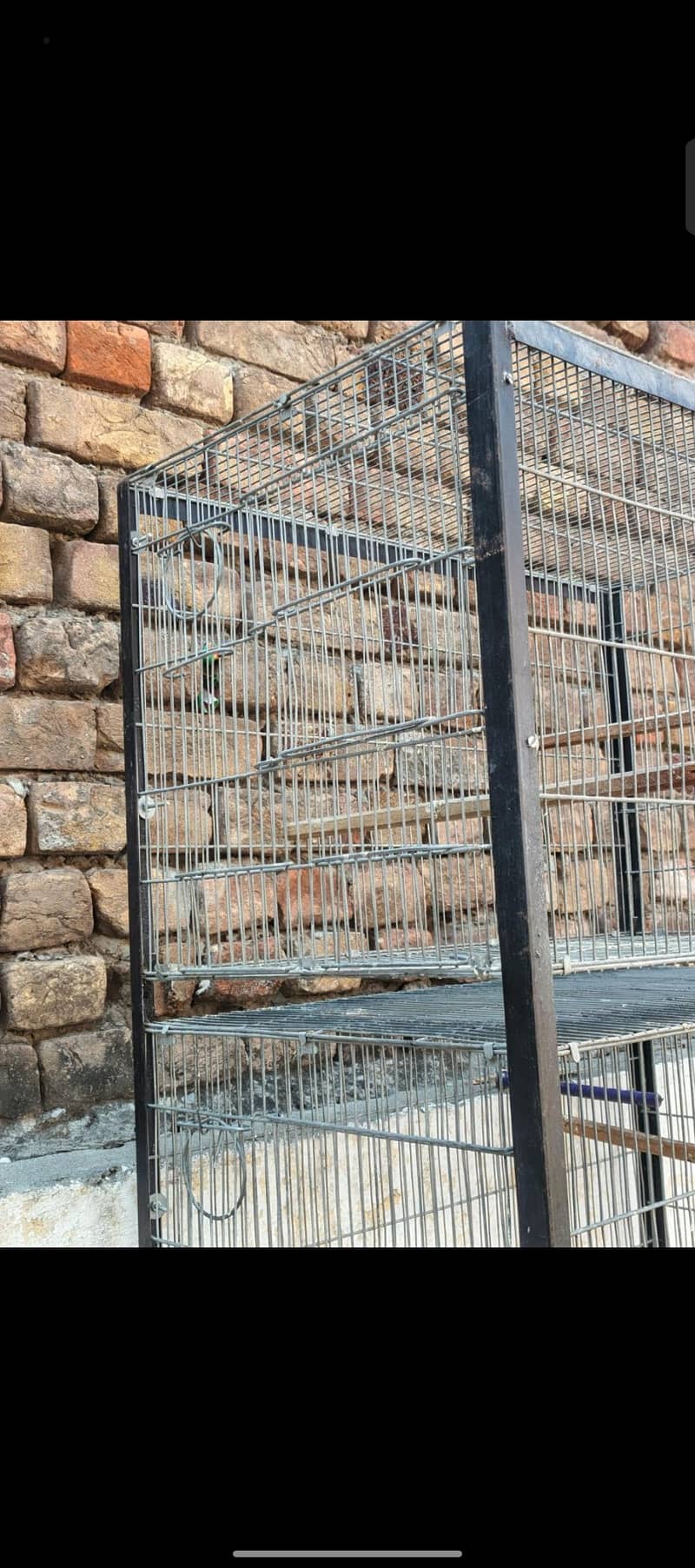Galvanized wire Cage 5