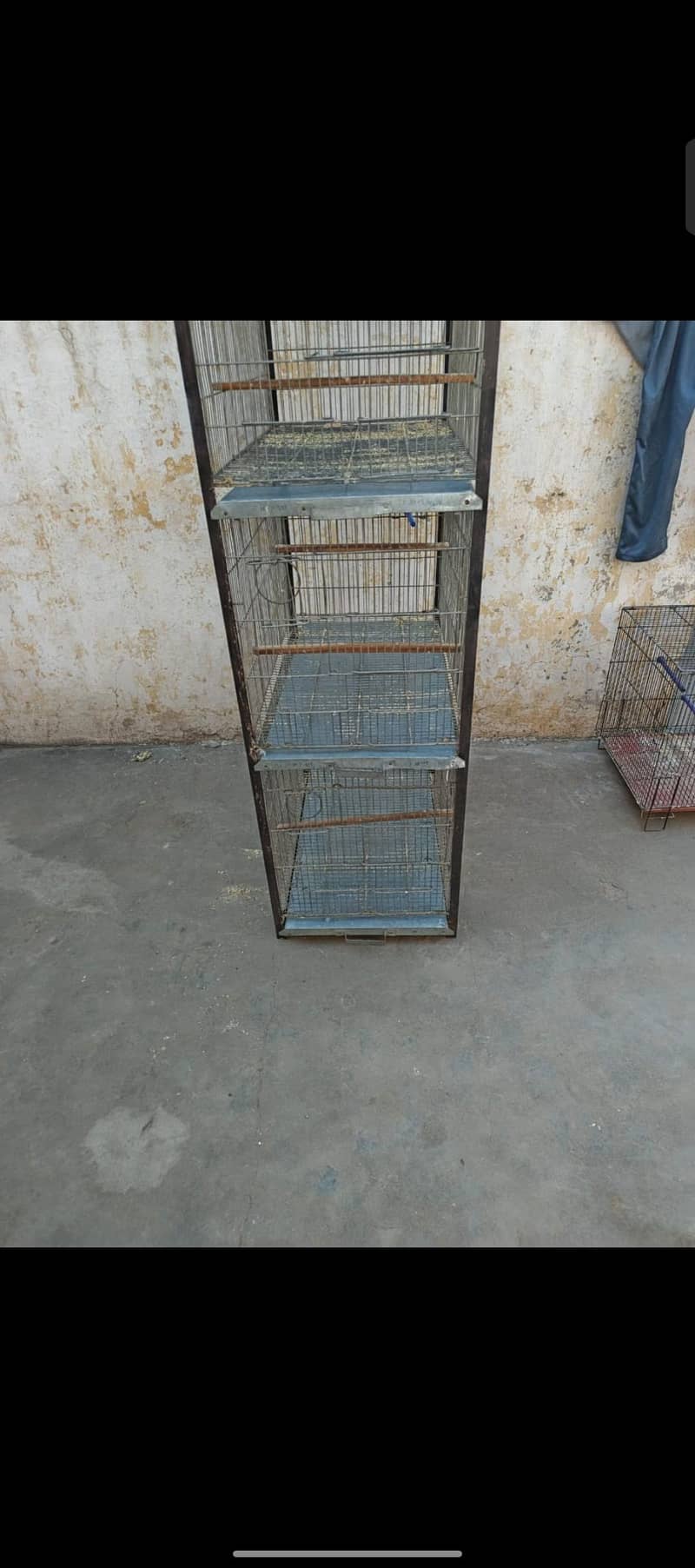 Galvanized wire Cage 6