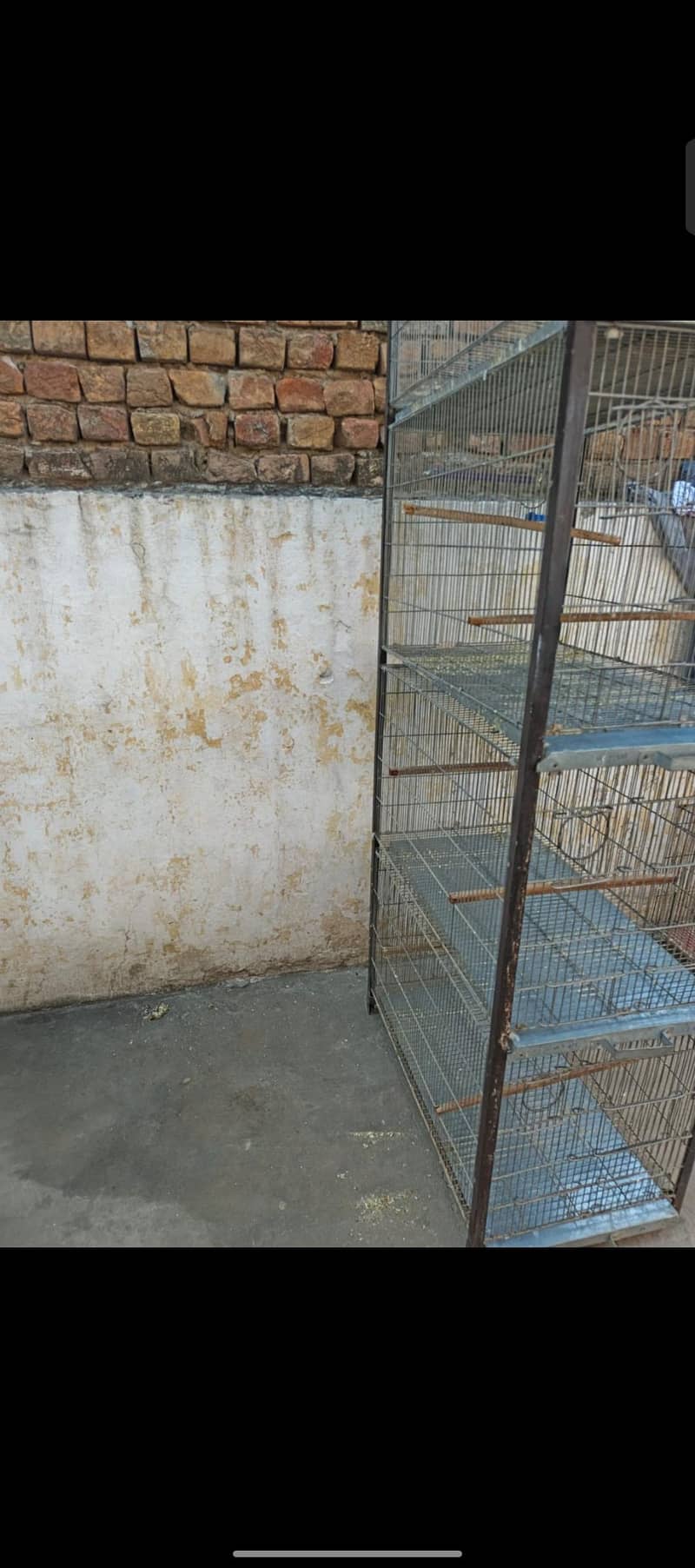 Galvanized wire Cage 7