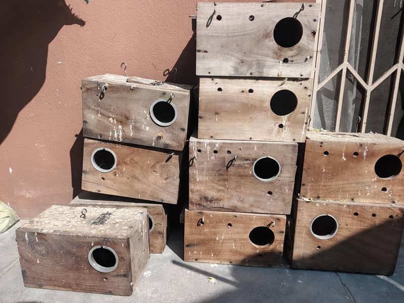 Galvanized wire Cage 9