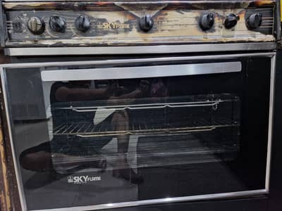 Skyflame oven and stove