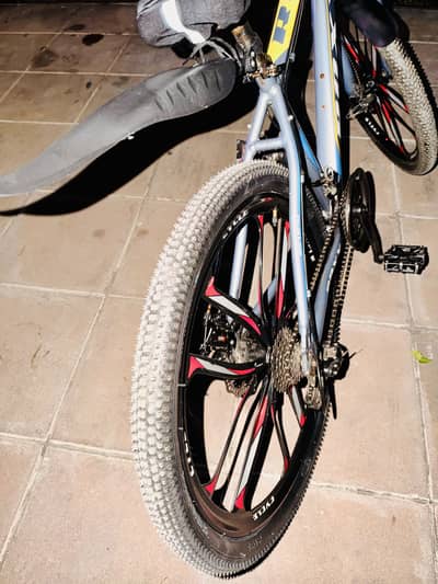 Mountain Bike