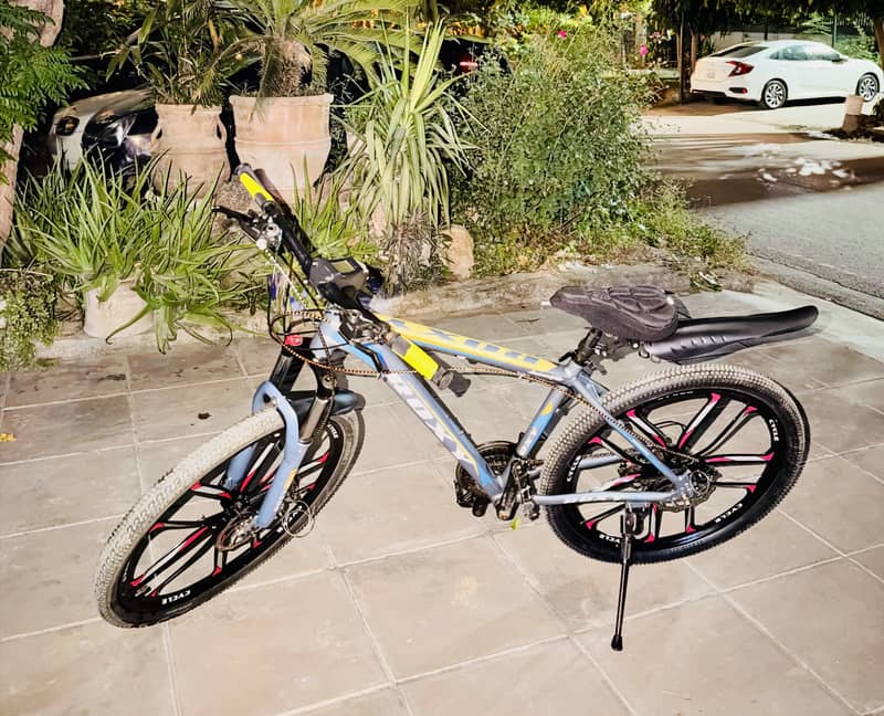 Mountain Bike 1