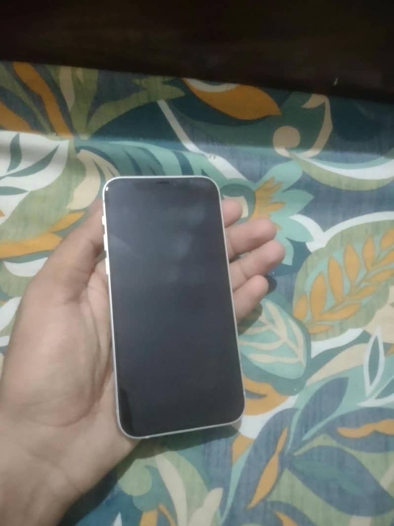 Apple iPhone 12 1