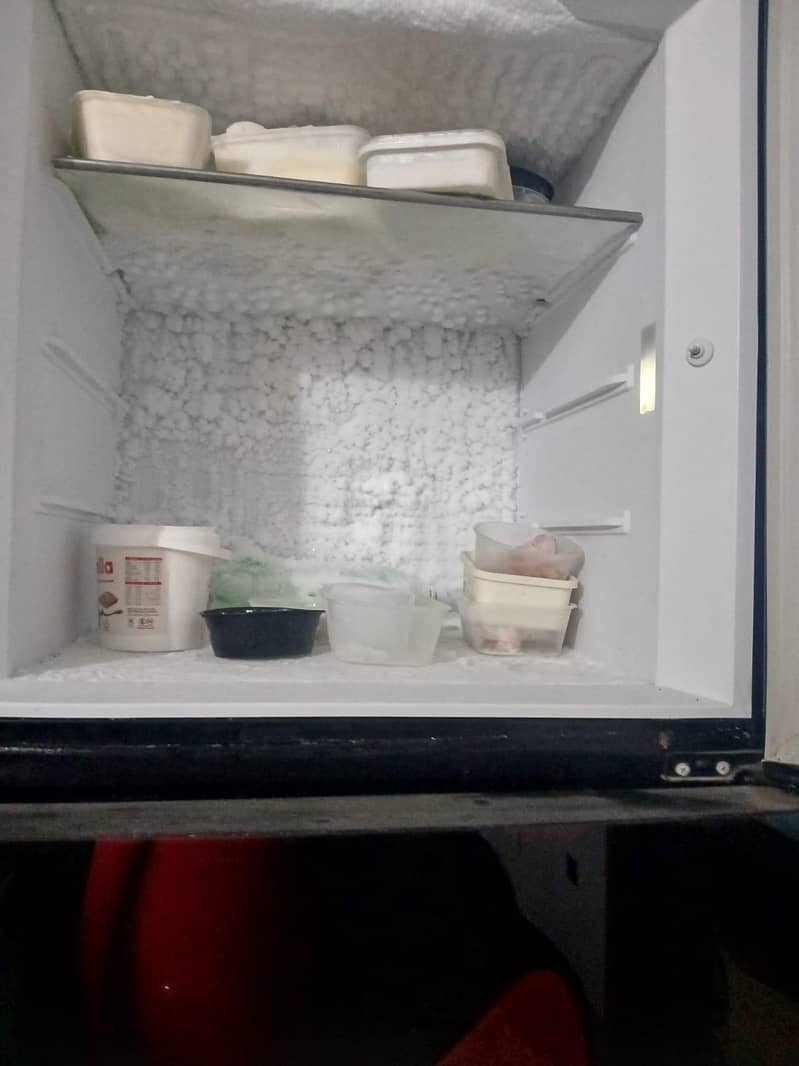 Pel Jumbo Freezer - Refrigerators - 1120906817