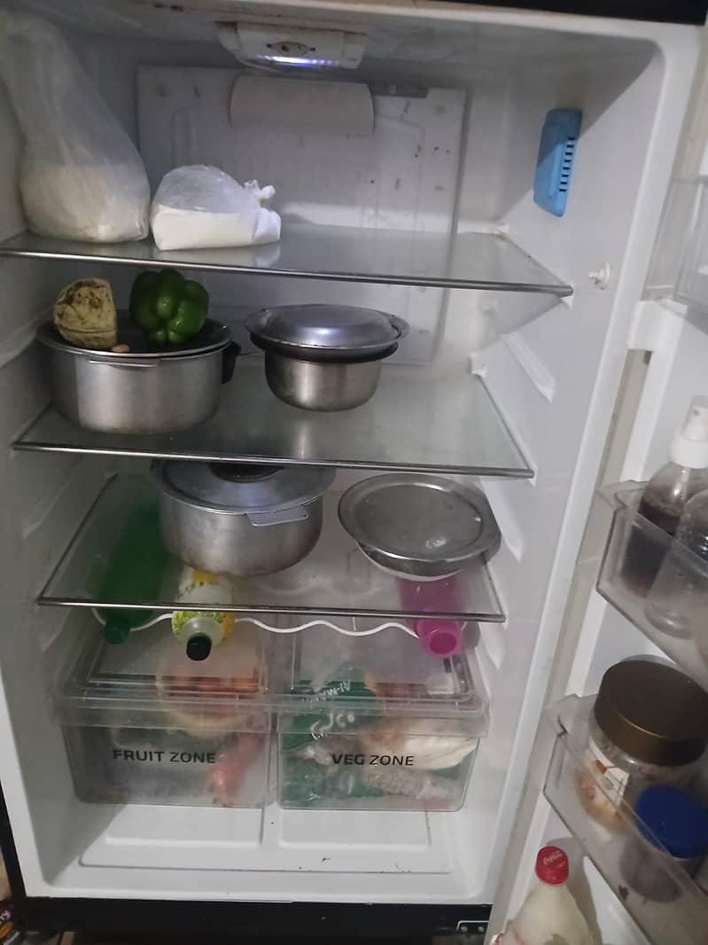 Pel Jumbo Freezer - Refrigerators - 1120906817