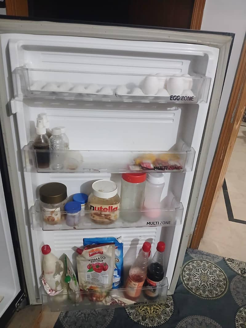 Pel Jumbo Freezer - Refrigerators - 1120906817