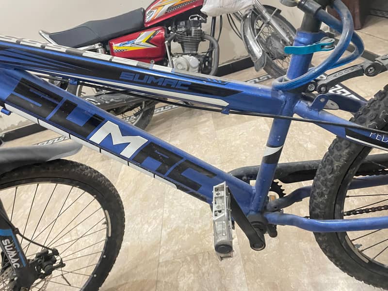 Mountain Cycle 6