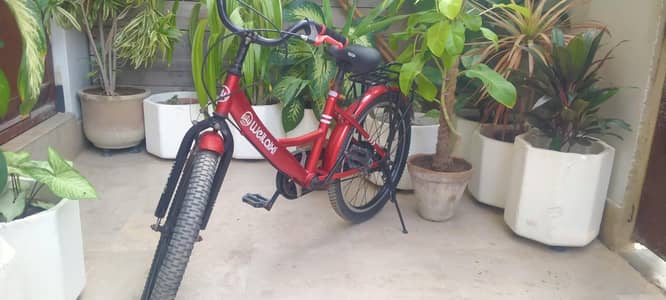 Kids Bicycle 20-Inch – Excellent Condition, Smooth Ride