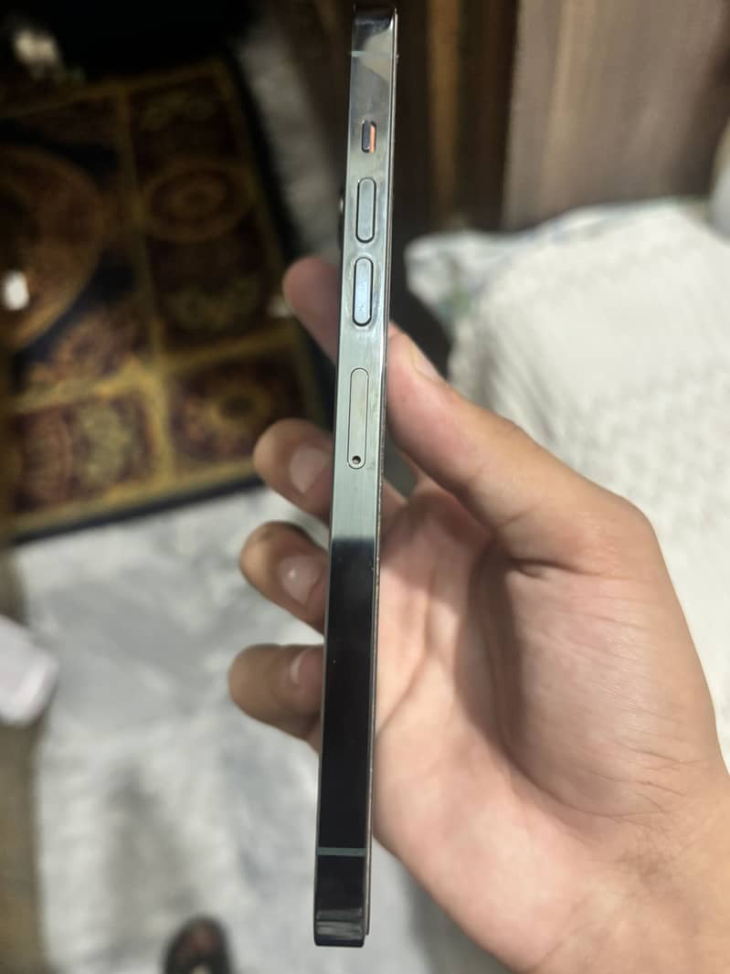 Apple iPhone 13 Pro Max 1