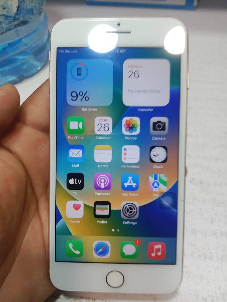 Apple iPhone 8 Plus 13
