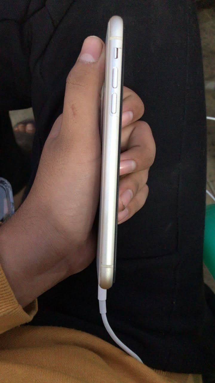 Apple iPhone 11 2