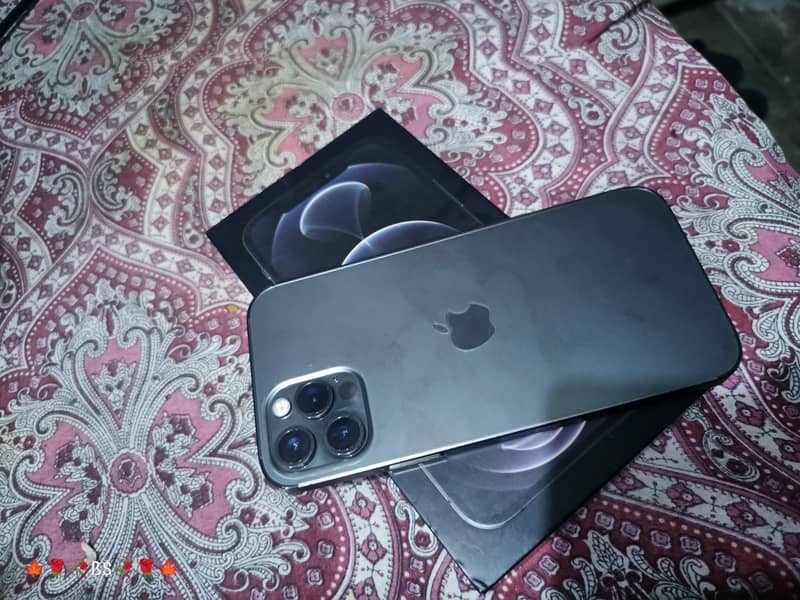 Apple iPhone 12 Pro 0