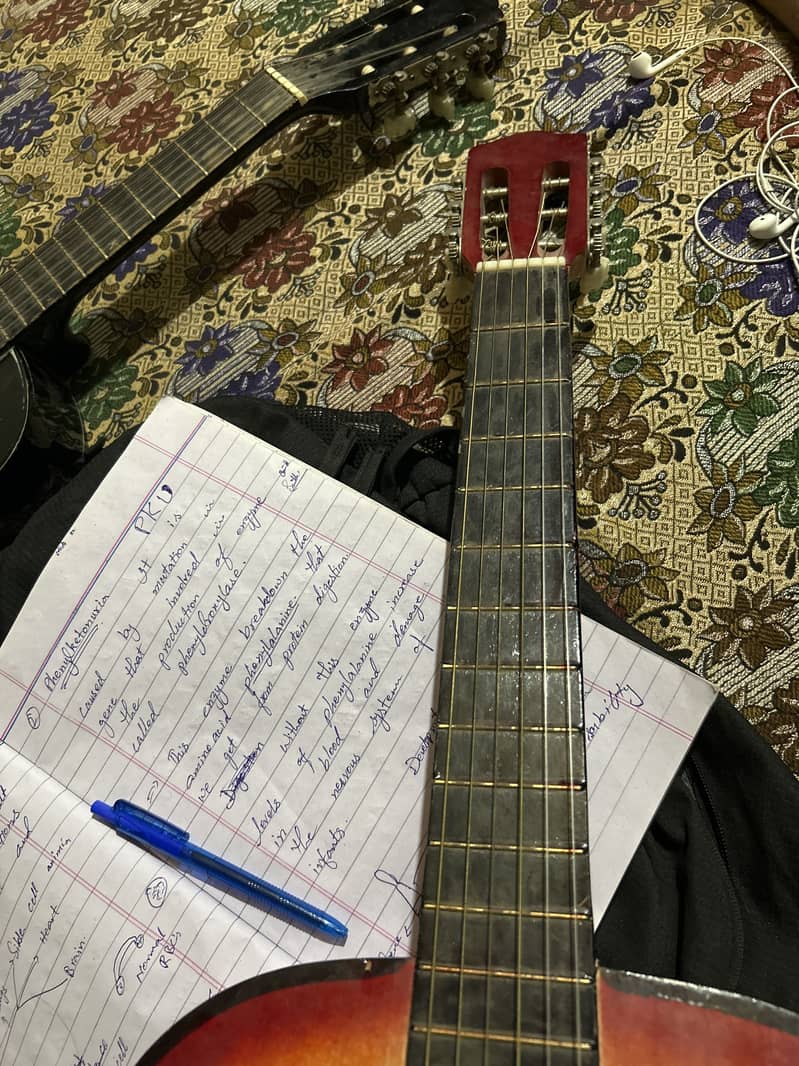 Gitar 2