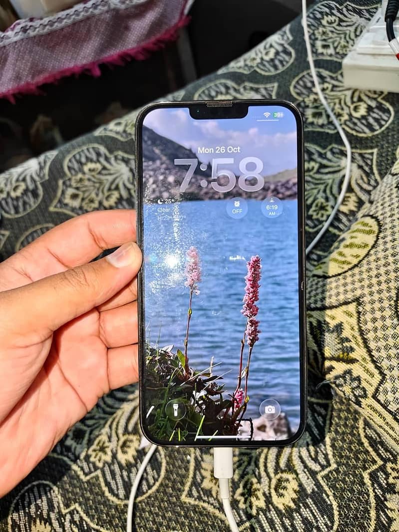 Apple iPhone 13 Pro Max 1