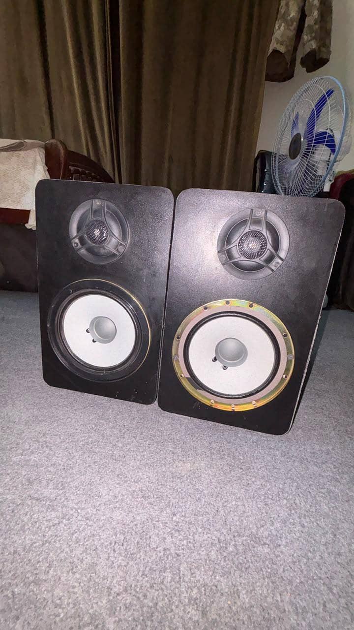 6 inch Speaker 0