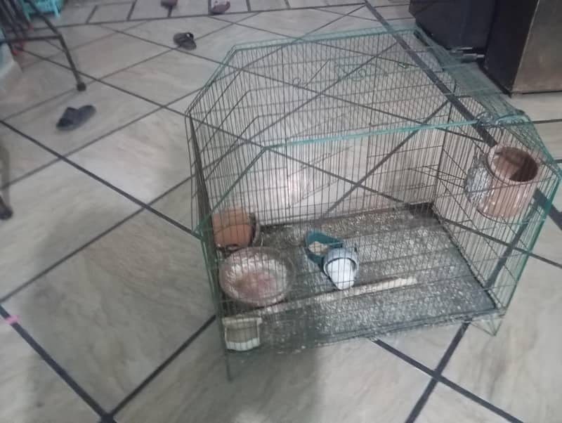 hen cage 1
