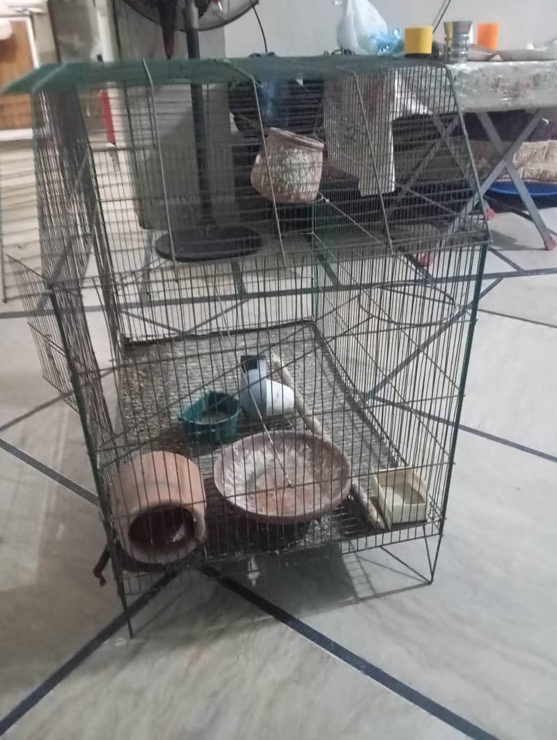 hen cage 3