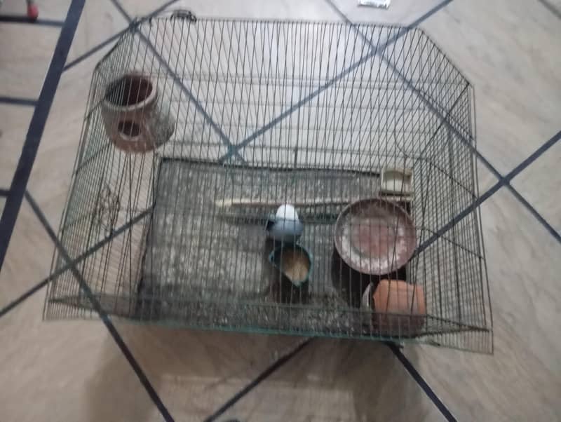 hen cage 4