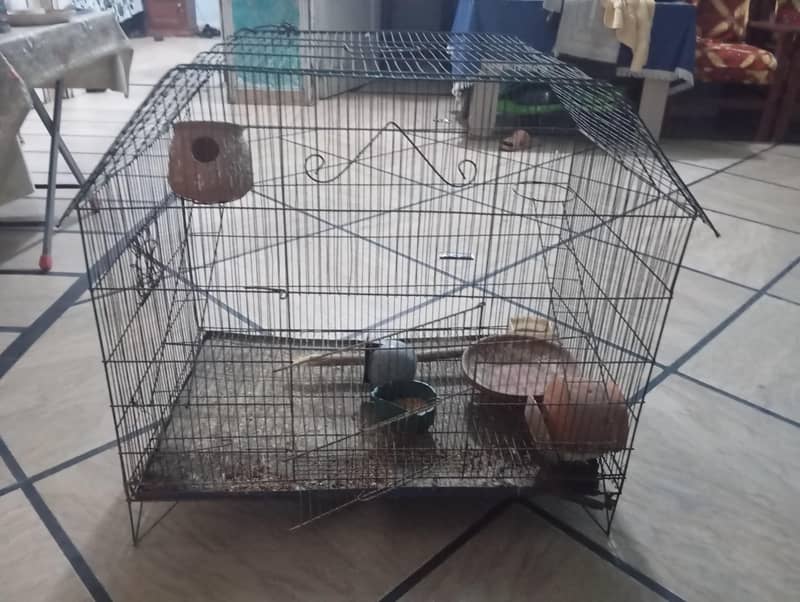 hen cage 5