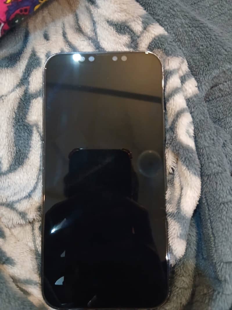 Apple iPhone 12 Pro Max 3