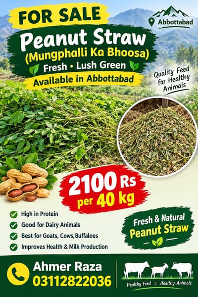 mungphalli kaa bhoosa