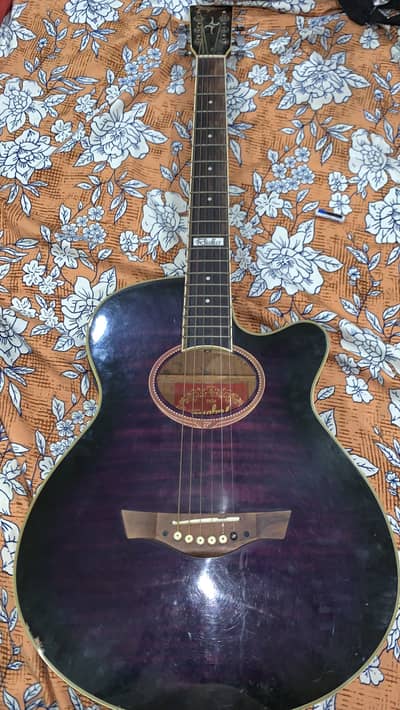 Tagima Aucostic guitar