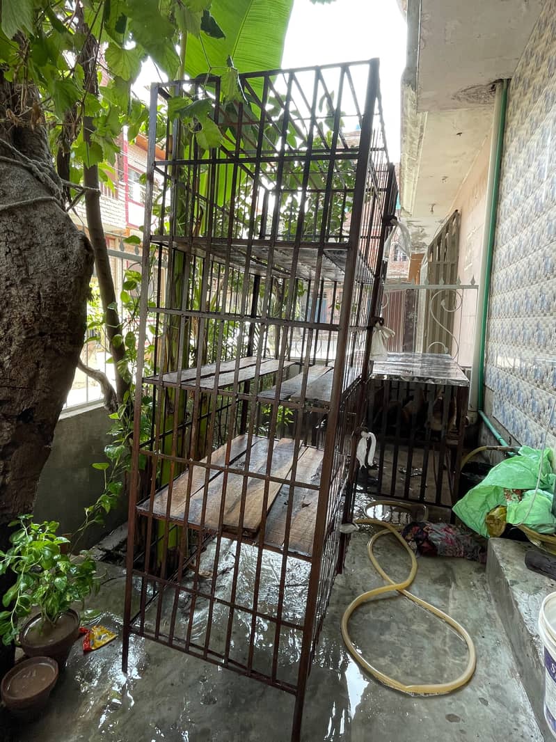 counter table or cage 3