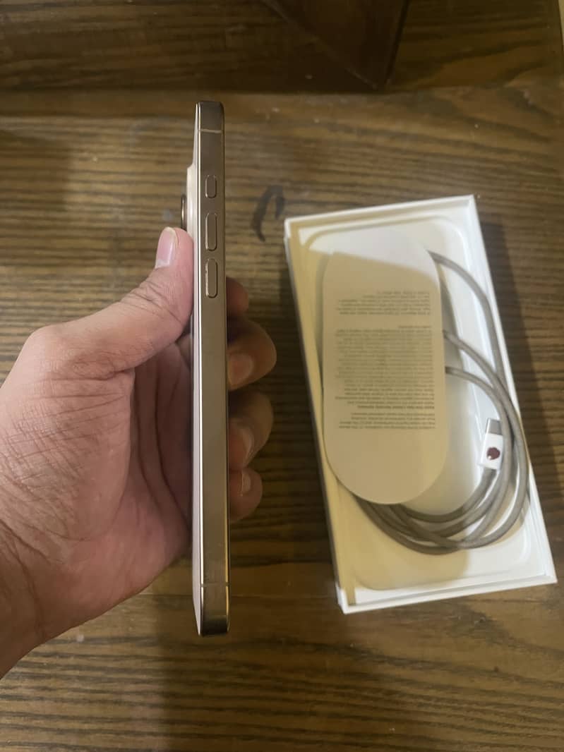 Apple iPhone 16 Pro Max 0