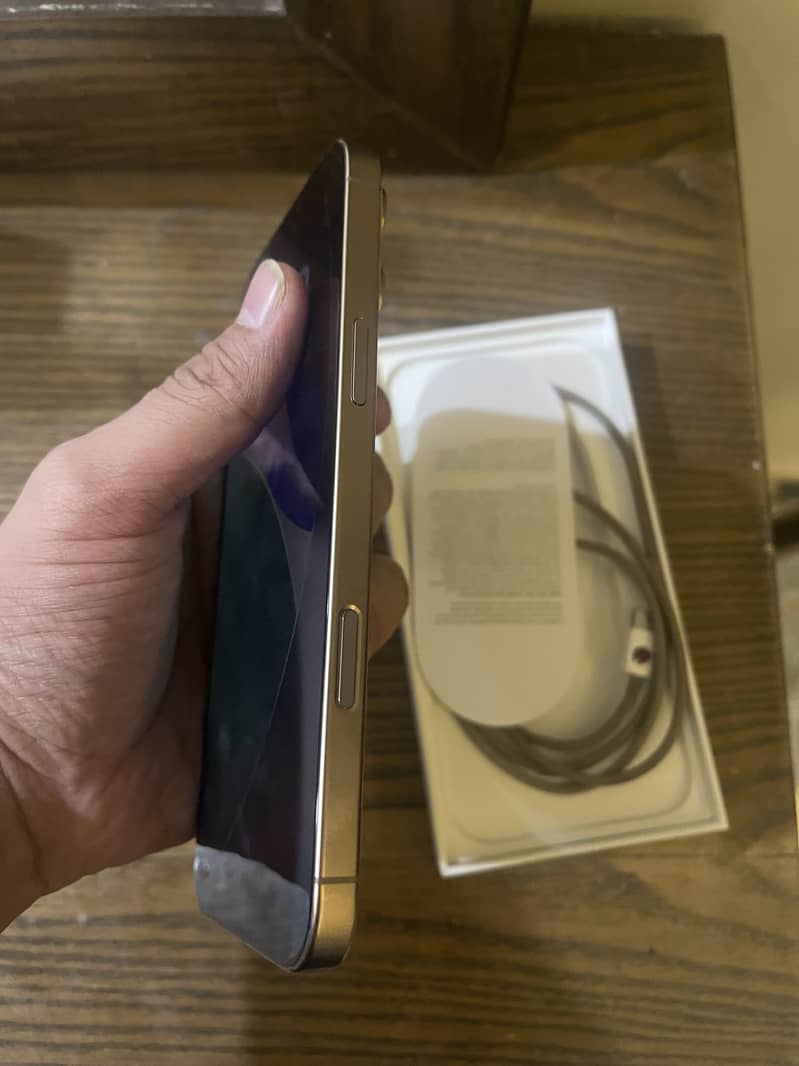 Apple iPhone 16 Pro Max 2