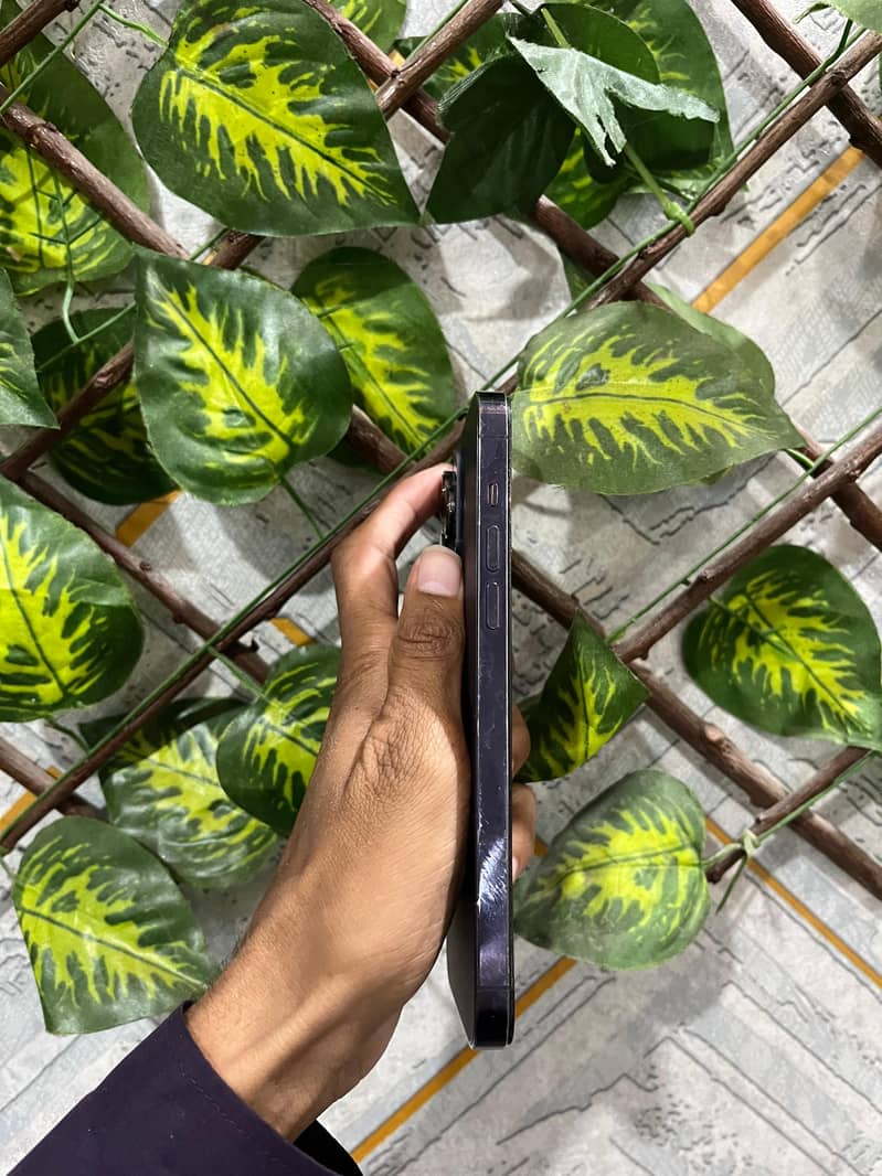 Apple iPhone 14 Pro Max 2