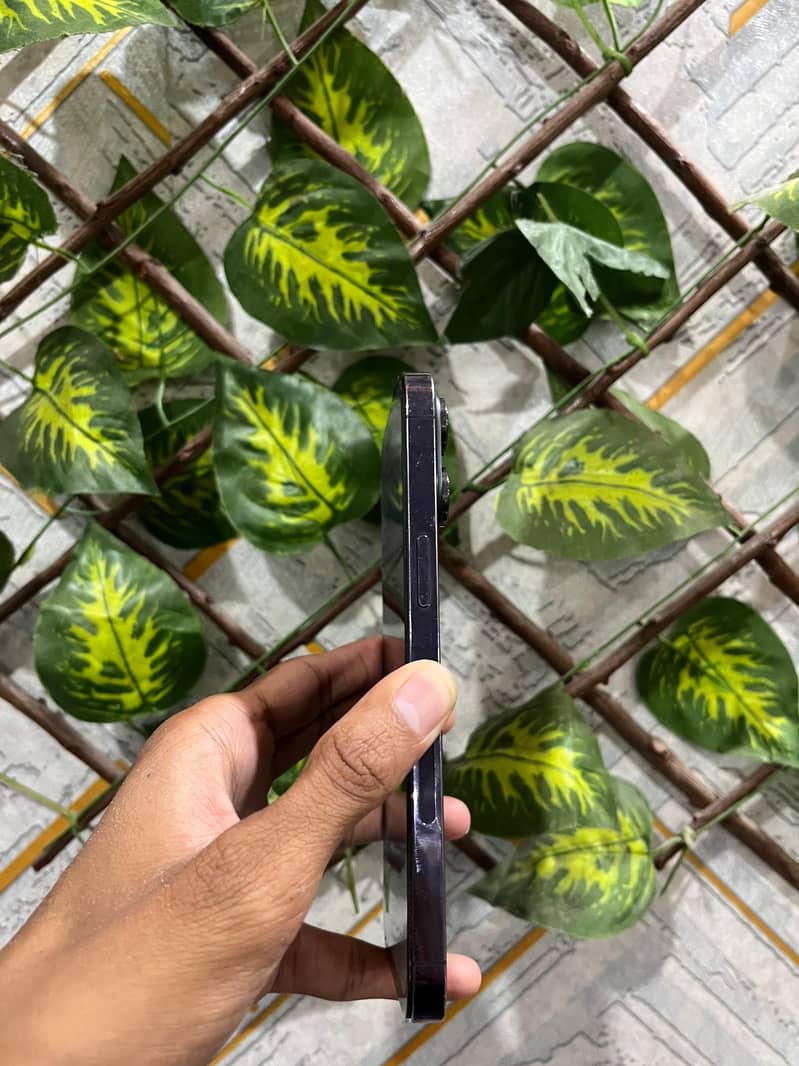 Apple iPhone 14 Pro Max 5