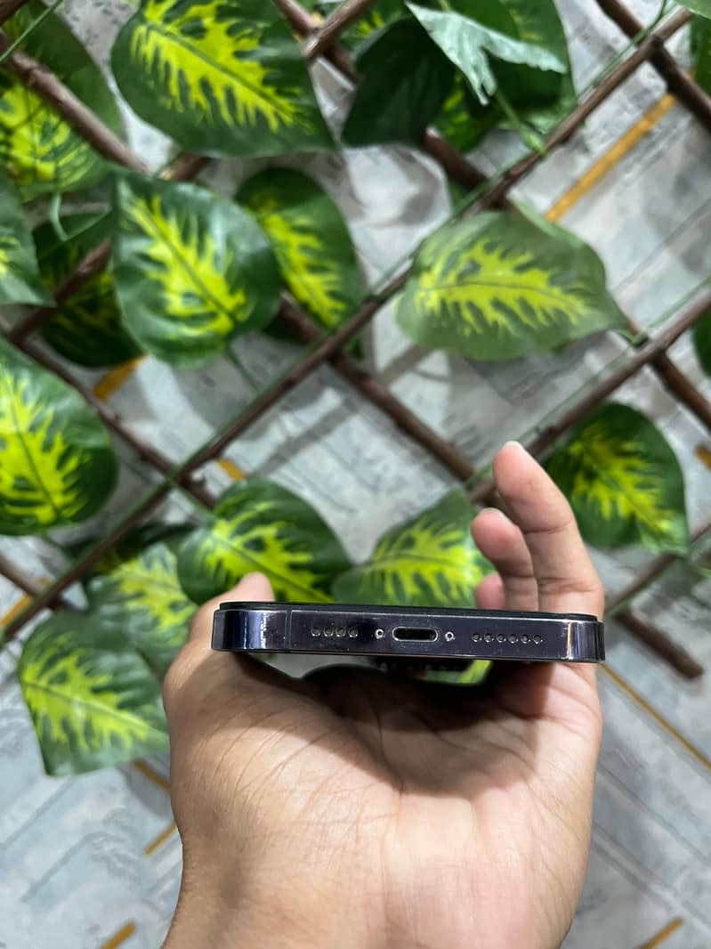 Apple iPhone 14 Pro Max 6