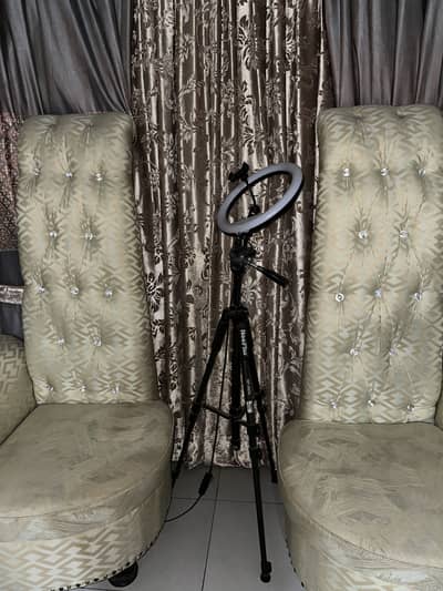 Two sofas