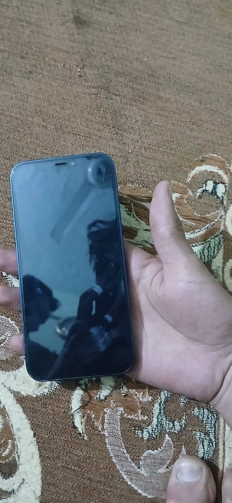 Apple iPhone 12 5