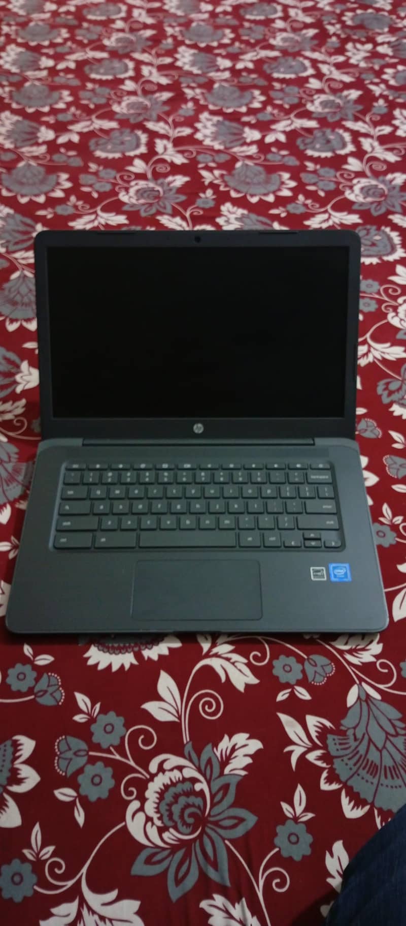 hp Chromebook 8/32 - Laptops - 1120909495
