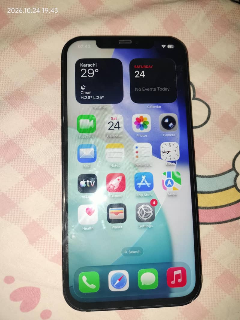 Apple iPhone 12 Pro Max Sunlog panel 0