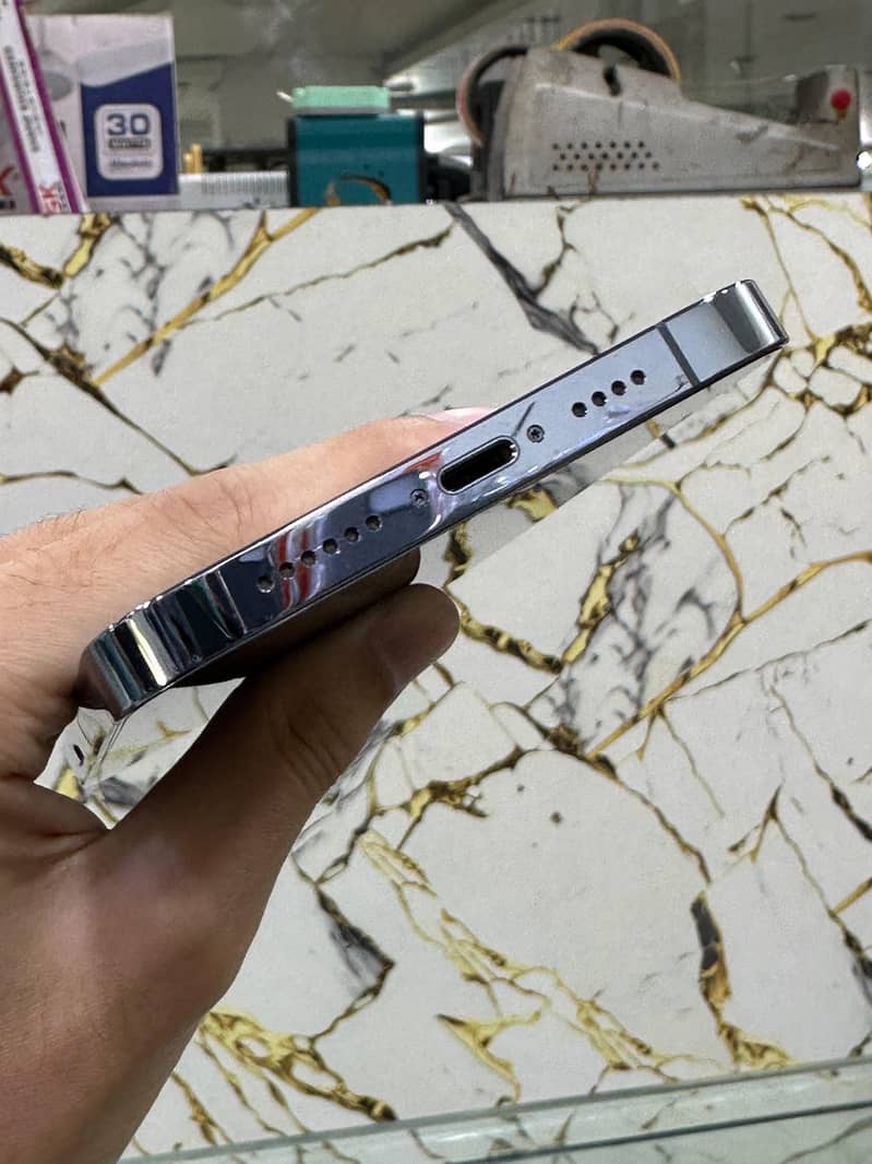 Apple iPhone 13 Pro Max 1