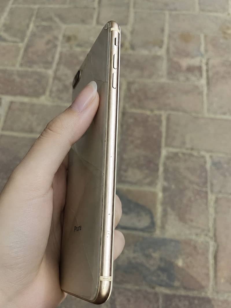 Apple iPhone 8 Plus 3