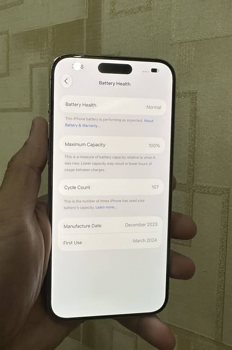 Apple iPhone 15 Pro Max 13