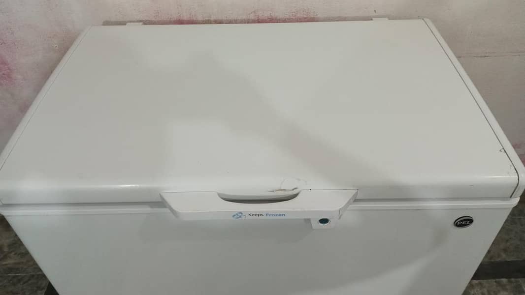 pel freezer 1