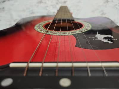 New branded guitar wolf king