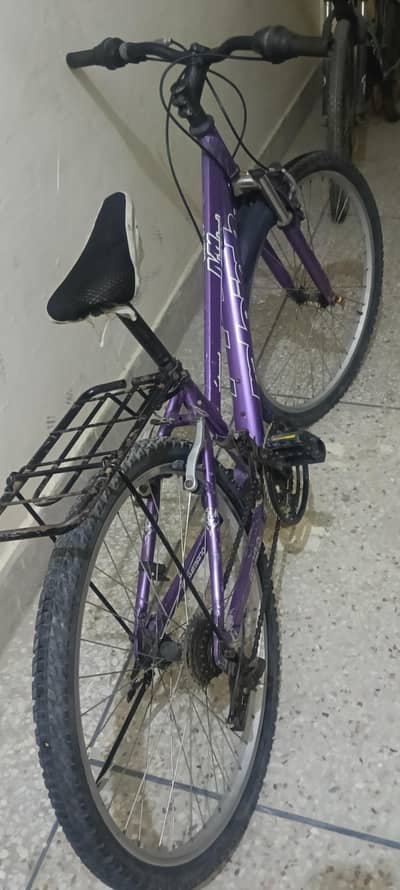 bicycle student girls and boys